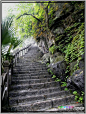 烟雨象鼻山