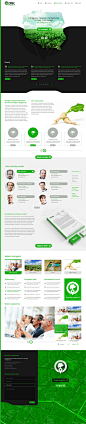 绿色简约企业网站-ZBPC | 盒子UI