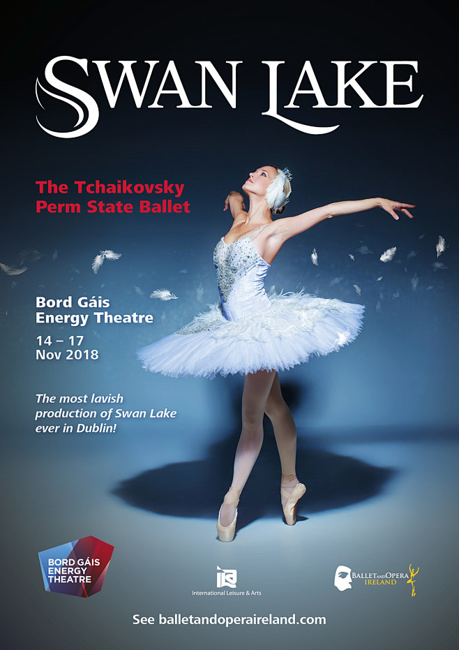 Swan Lake Ad : Swan ...