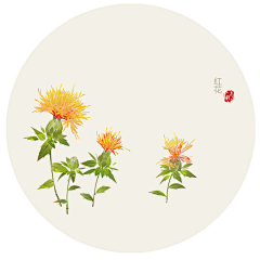 小鱼儿悠然采集到手绘画1（花卉）