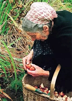 ~小迷糊~采集到顶级摄影 生命的真谛