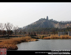 jiezihui采集到游上海辰山植物园【华