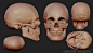 Articulated skull, Boris Moskalenko : Medically accurate average human Articulated skull 3D model. Done for a client SciePro