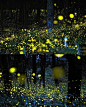 位于厦门市文曾路怡情谷的国内首家萤火虫主题公园于2010年6月1日开园了，是国内萤火虫低碳环保节能教育基地。这里是一方山水错落，丛林掩映的好地方,通过人工养殖培育了上万只萤火虫。 　