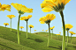 巨大的,环境,自然,户外,计算机制图_119515915_Large Flowers (Gerber Daisies) in Green Hills_创意图片_Getty Images China