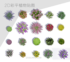 穿马丁靴的喵采集到CK-总平面图