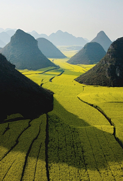 非礼勿亲采集到风景