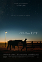 Mega Sized Movie Poster Image for Lean on Pete (#2 of 2)