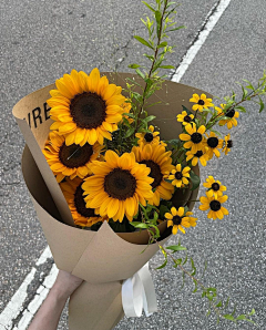 夏朵☂采集到有花有草 生活多美好