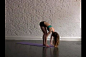 简单易学的瑜伽减肥操 | 视频分享 | 几分钟网生活百科| jifenzhong.com