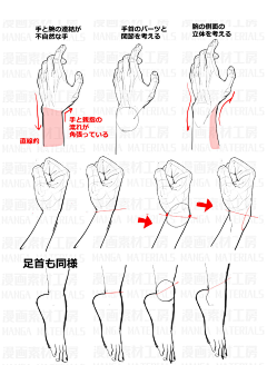 -Vigne采集到人体手绘练习矫正