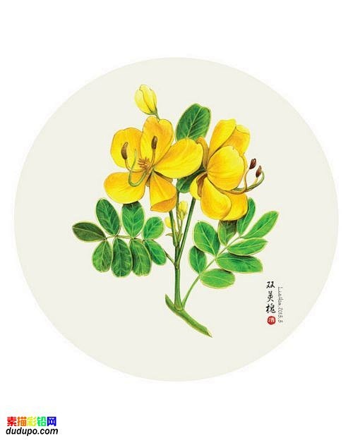 一组唯美彩铅手绘花卉 彩铅画