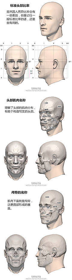 杨枚采集到素描头像