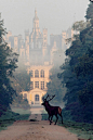 Domaine National de Chambord,Loire,France。法国卢瓦尔河谷香波国家领地。作为法国文艺复兴时期规模最大，享誉最高的香波城堡是卢瓦尔河谷地区又一座神奇的所在。它兴建于弗朗索瓦一世，是法国王室狩猎的行宫。香波国家领地有1000公顷的森林，围绕在香波堡的周围，安静而美丽，是弗朗索瓦一世打猎的地方。 #景点# #国外# #美景##摄影##旅行#