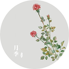 蜂蜜雪梨采集到铅笔画/彩铅画