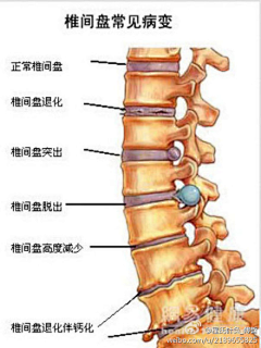 歌笑采集到knowledge