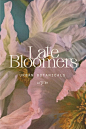 其中包括图片：Branding & Identity fir Late Bloomers, an urban flower shop. in 2021 | Graphic design branding, Bran