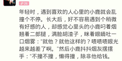 宇文庭云采集到黑