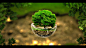 green nature trees surreal spheres photo manipulation - Wallpaper (#2907932) / Wallbase.cc