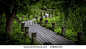 西溪湿地xixi wetland - stock photo