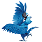 rio-2-blu鹦鹉PNG图标