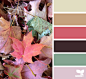 leaf palette