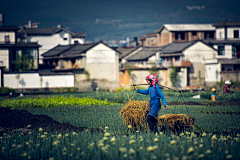 jialet采集到素材