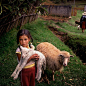 Nat Geo Image Collection 在 Instagram 上发布：“New to the collection! A young girl carries a baby #lamb while helping her grandmother care for their #sheep in a #rural area in the…”