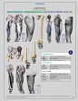 anatomy for sculptors-200