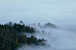 Frothy Mists : I found myself gazing out over golden hillsides cascading into a sea of clouds. This serene evening felt warm like a hug as the sun set behind Mt. Tamalpais, coloring the frothy mists in various pastel colors. 