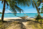 Hammock on the beautiful sandy beach