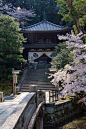 在京都：_建筑 东方 _闲图采下来 #率叶插件，让花瓣网更好用#