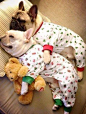 Frenchies spooning: 