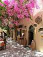 街上葡萄树开花，雷斯蒙，希腊。坐在这喝杯下午茶吧~~