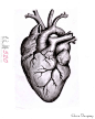 心脏纹身 黑灰的心脏纹身手稿