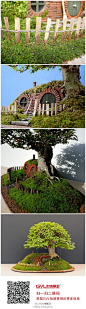 巴金斯盆景。微型的复制品，本体来源于指环王中巴金斯的房子。
