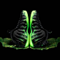 Nike伪碳纤轻量级球鞋Zoom Skyposite