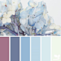 today's inspiration image for { hydrangea hues } is by @traceybolton ... thank you, Tracey, for another inspiring #SeedsColor image share!