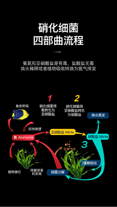 强子20100616采集到海报首页参考