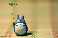 袜纸大侠采集到❤3❤ TOTORO