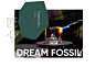 DREAM FOSSIL 梦的化石 BRAND