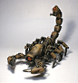 Zoids. [Robots with all kinds of animal and insect forms?]: