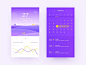 Weather calendar interface