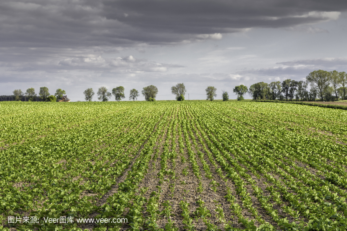 d3e8b6915ea37dfa1efc542d6053407880ff54f8f9da2-QpfgG9