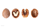 Row of walnuts