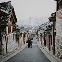 青蛙野樹采集到沿途风景 Y___________Y