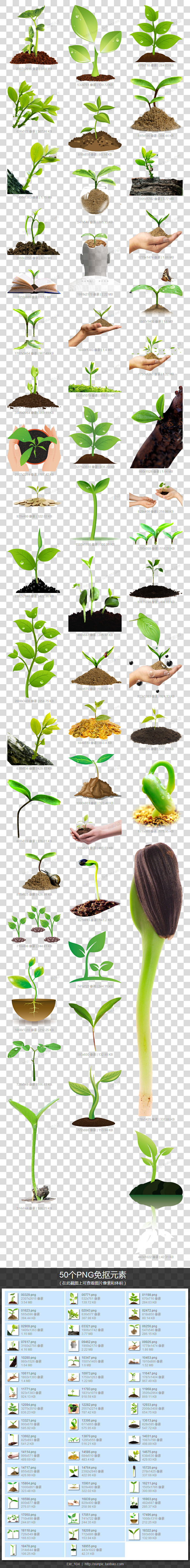 小树苗PNG免抠素材小树发芽茁壮成长