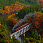 Colored leaves and Steam