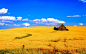 General 1920x1200 landscape wheat field barn crops yellow clouds Agro (Plants) outdoors plants
