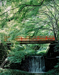 日本三千院的夏日。日系庭院深受禅宗和中国园林“师法自然”的影响，庭院中的植物山石、沙砾，都代表不同的意义，除给游人带来视觉上的愉悦，也在精神上得到了休息。